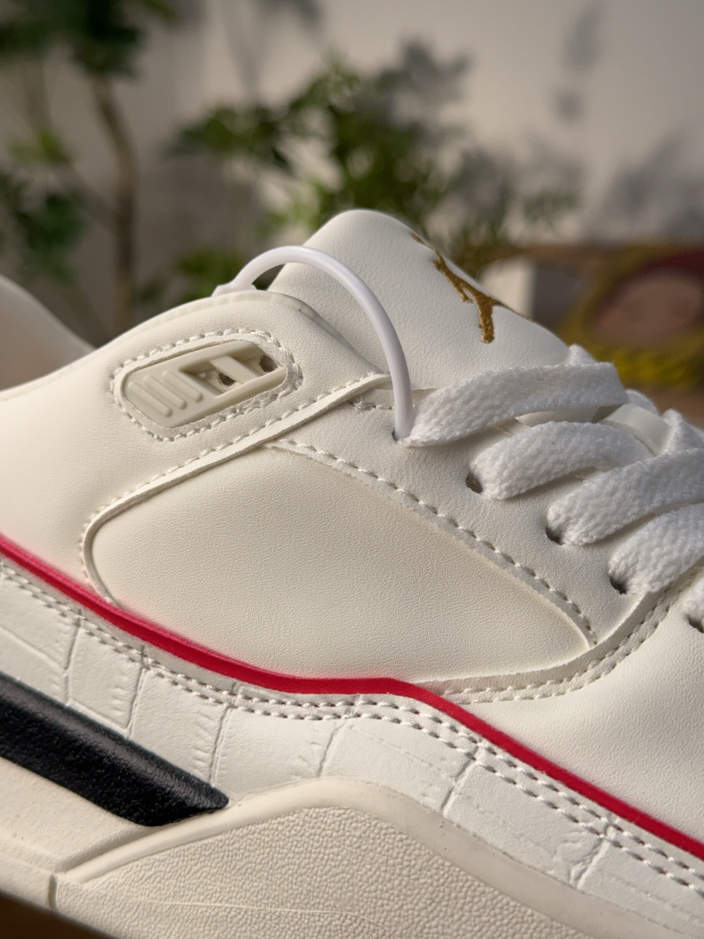 Nike Jordan